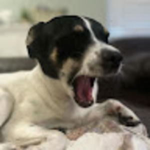 Meet your Posher, Nolan